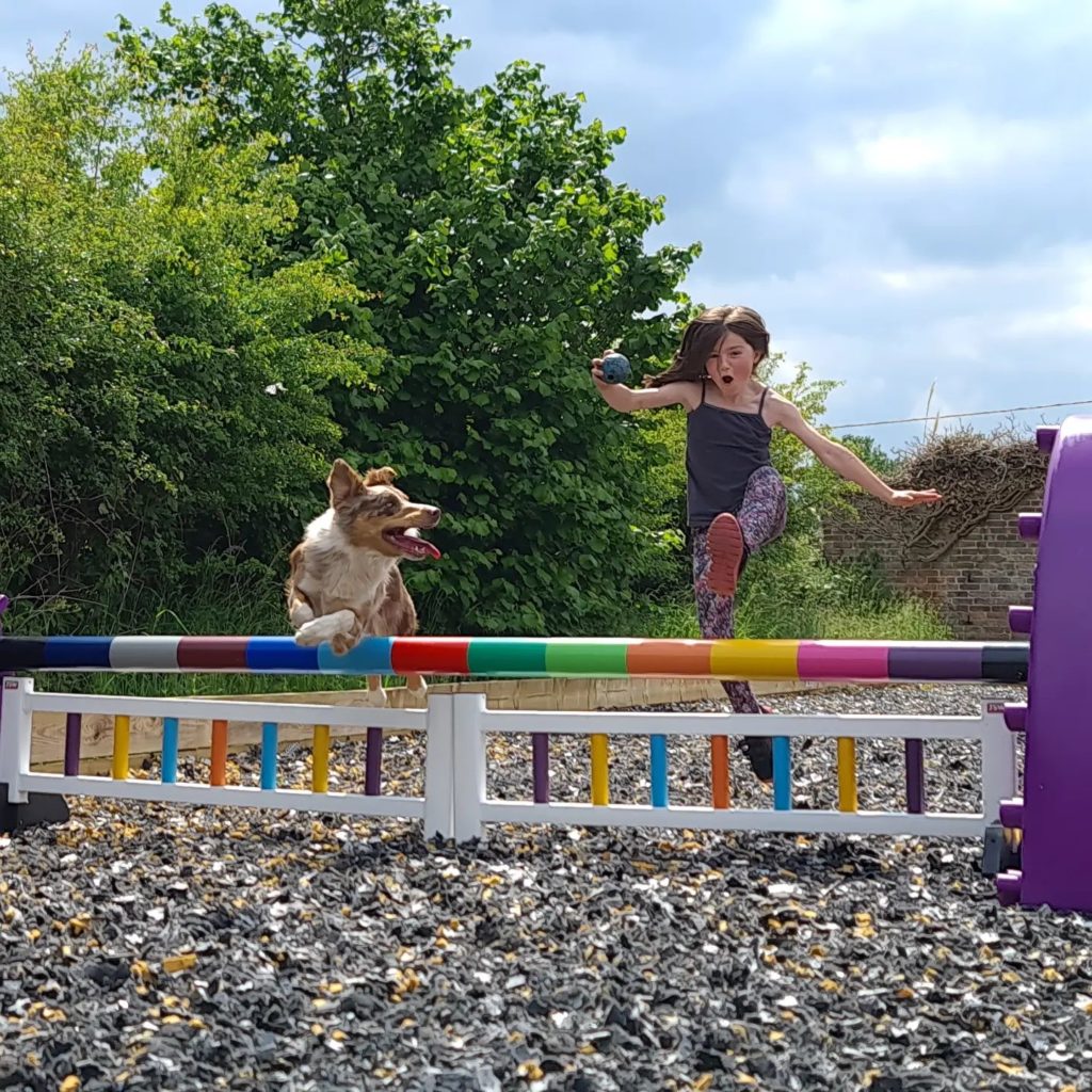 arena surfaces Foleys-Flex