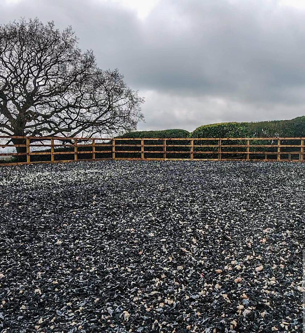 323714066_1321450111760371_42244065688512701_n