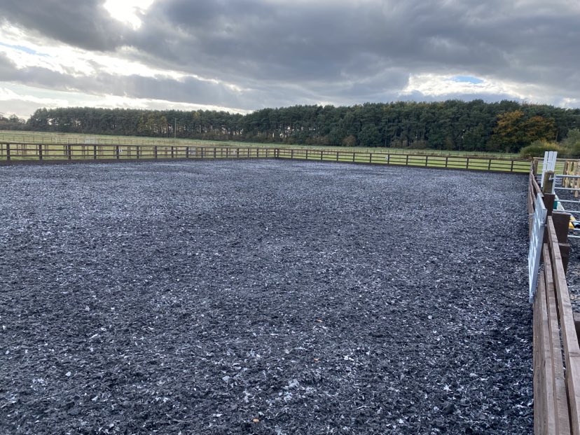 Dressage surfaces