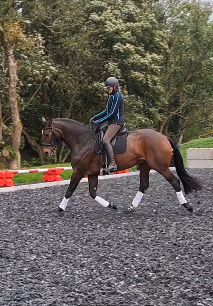 Riding surfaces for flatwork