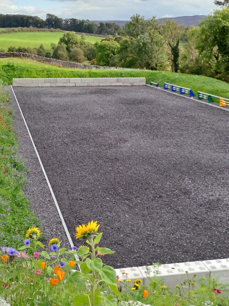 Safe Equestrian Surfaces Arena