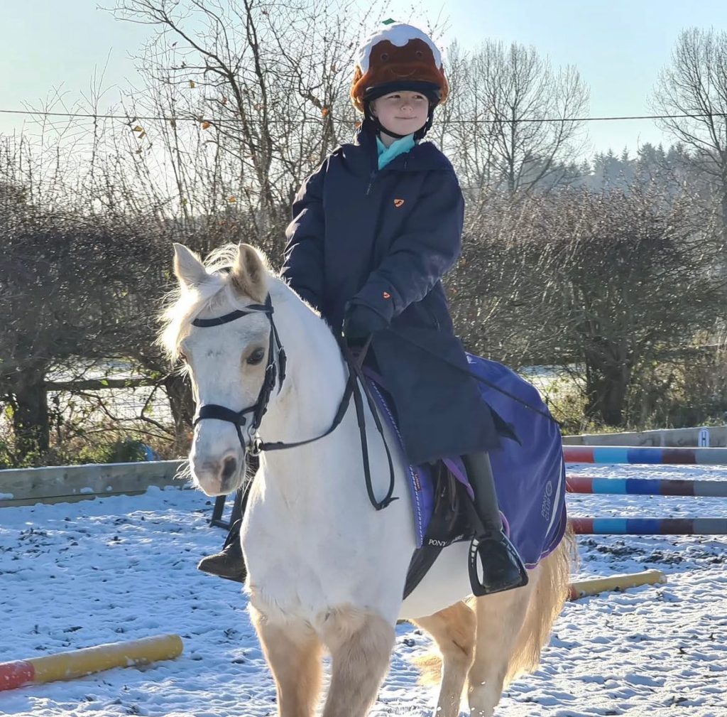 Cooling Down A Horse In Winter Safely