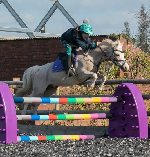 jumping surface Foleys-Flex