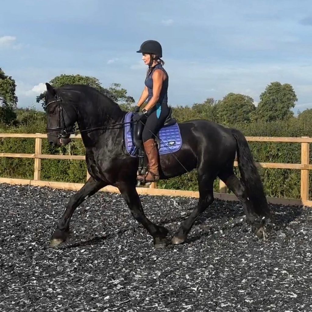 482242995_1146342387283692_6120961418877241128_n