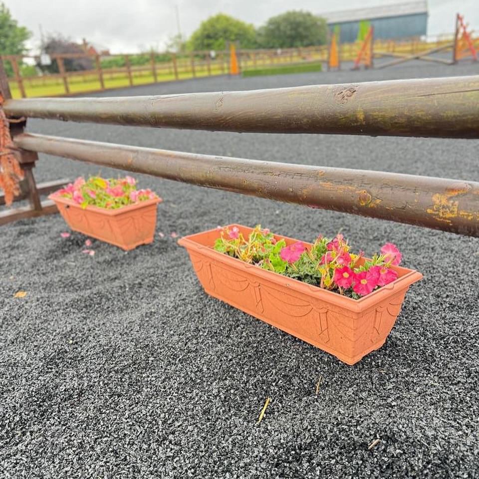 equestrian arena surfaces