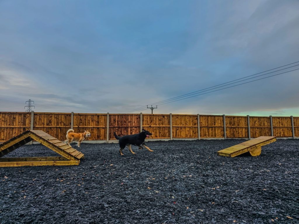 Full Fibre - Dog agility park