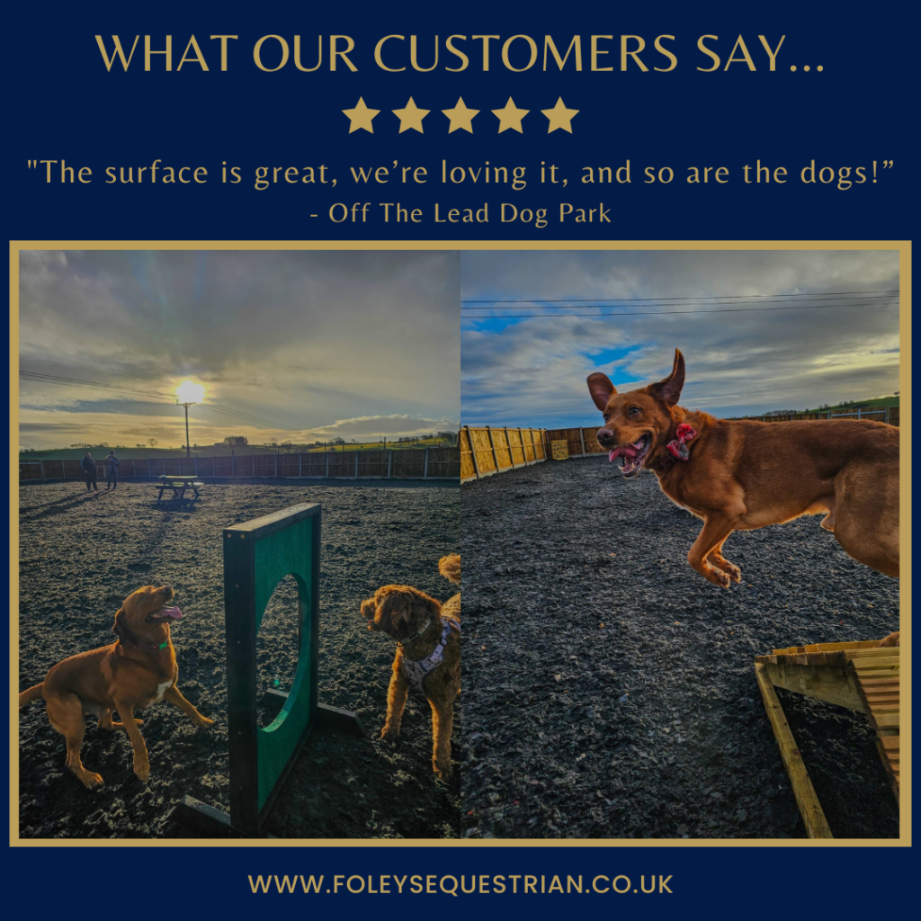 Foleys Equestrian 5star review