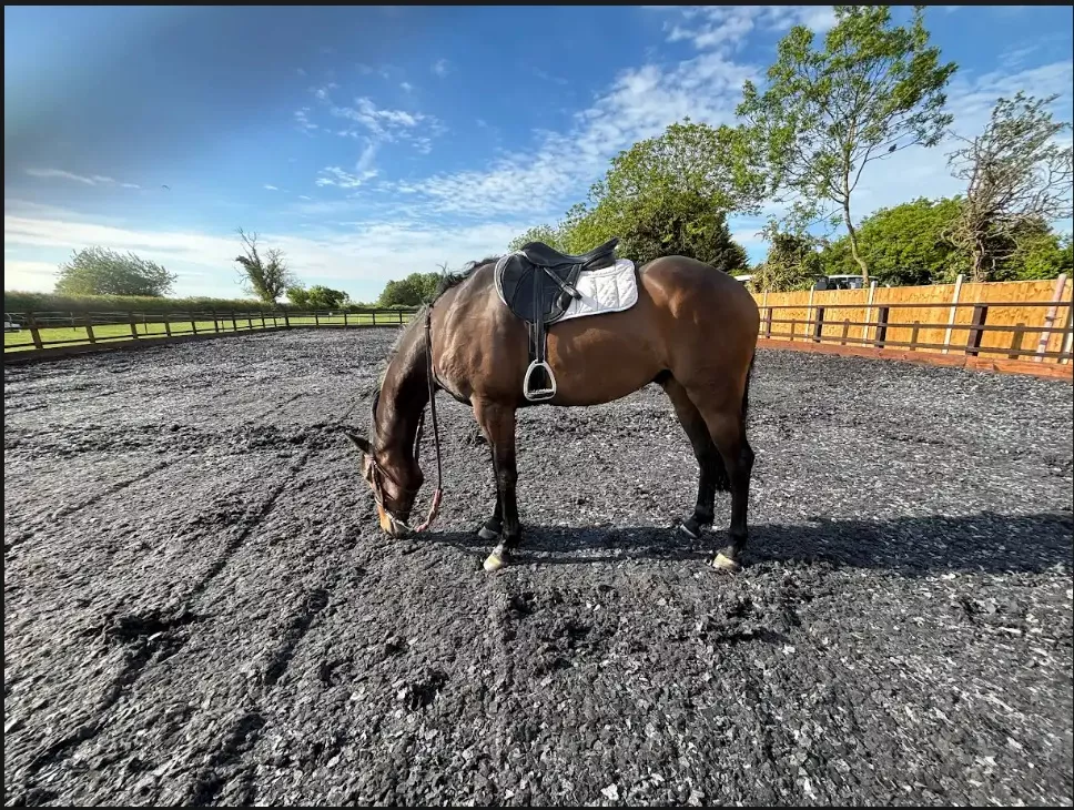 Full Fibre horse arena