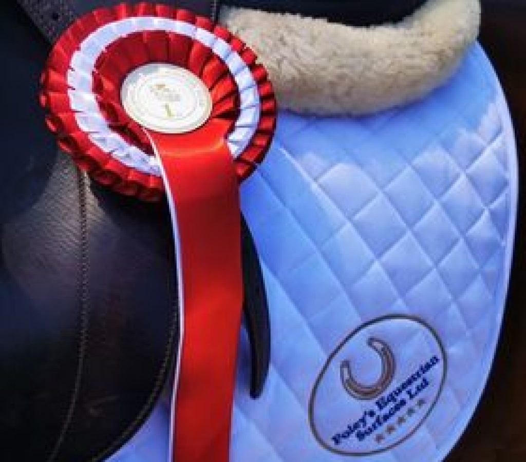 Foleys Equestrian 1st place