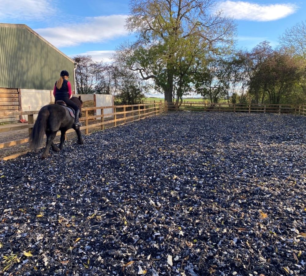 outdoor arena foleys flex