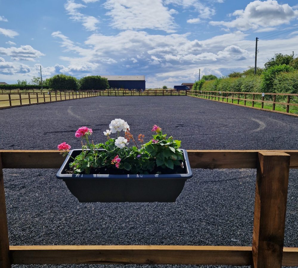 spring tips for equestrians